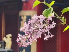 -西安市广仁寺