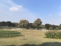 -凤凰沟景区