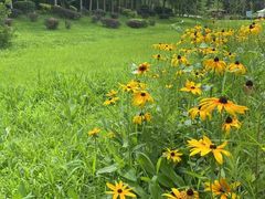 -长白岛森林公园