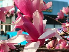 -证大大拇指广场(芳甸路店)