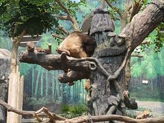 -石排湾郊野公园