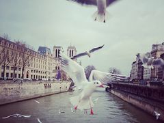 -Bateaux Mouches塞纳河游船