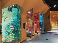 -中国杭州低碳科技馆