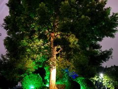 -云龙湖旅游景区