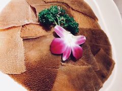 -巴奴毛肚火锅(大剧院店)