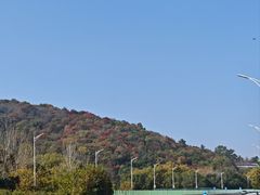 -紫金山山顶公园