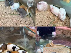 -正佳雨林生态植物园