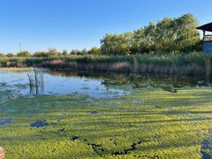 -永定河休闲森林公园