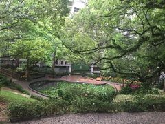 -香港大学