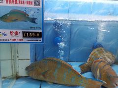 -三亚珠江南田温泉度假区