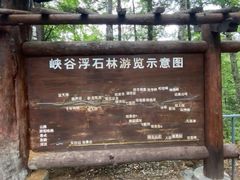 -峡谷浮石林景区