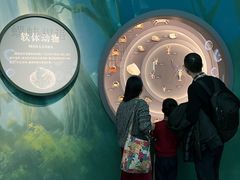 -中国湿地博物馆