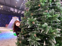 -宁波冰雪大世界(北仑区)