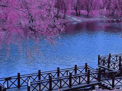 -长春公园(普阳街道)