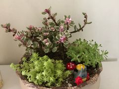 -兰溪小馆(首经贸店)