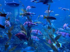 -海合安成都极地海洋公园