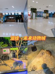 -未来动物城动物主题公园(大悦城店)