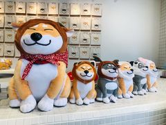 -柴务处·柴犬主题狗咖