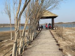 -西青郊野公园