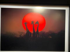 -罗红摄影艺术馆