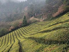 -敬亭山风景名胜区