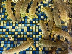 -顺德了能馆(虎门店)