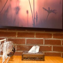 -时尚殿堂·颜SPA