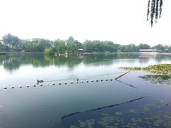 -什刹海