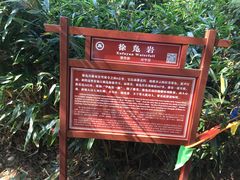 -溪口-滕头旅游景区