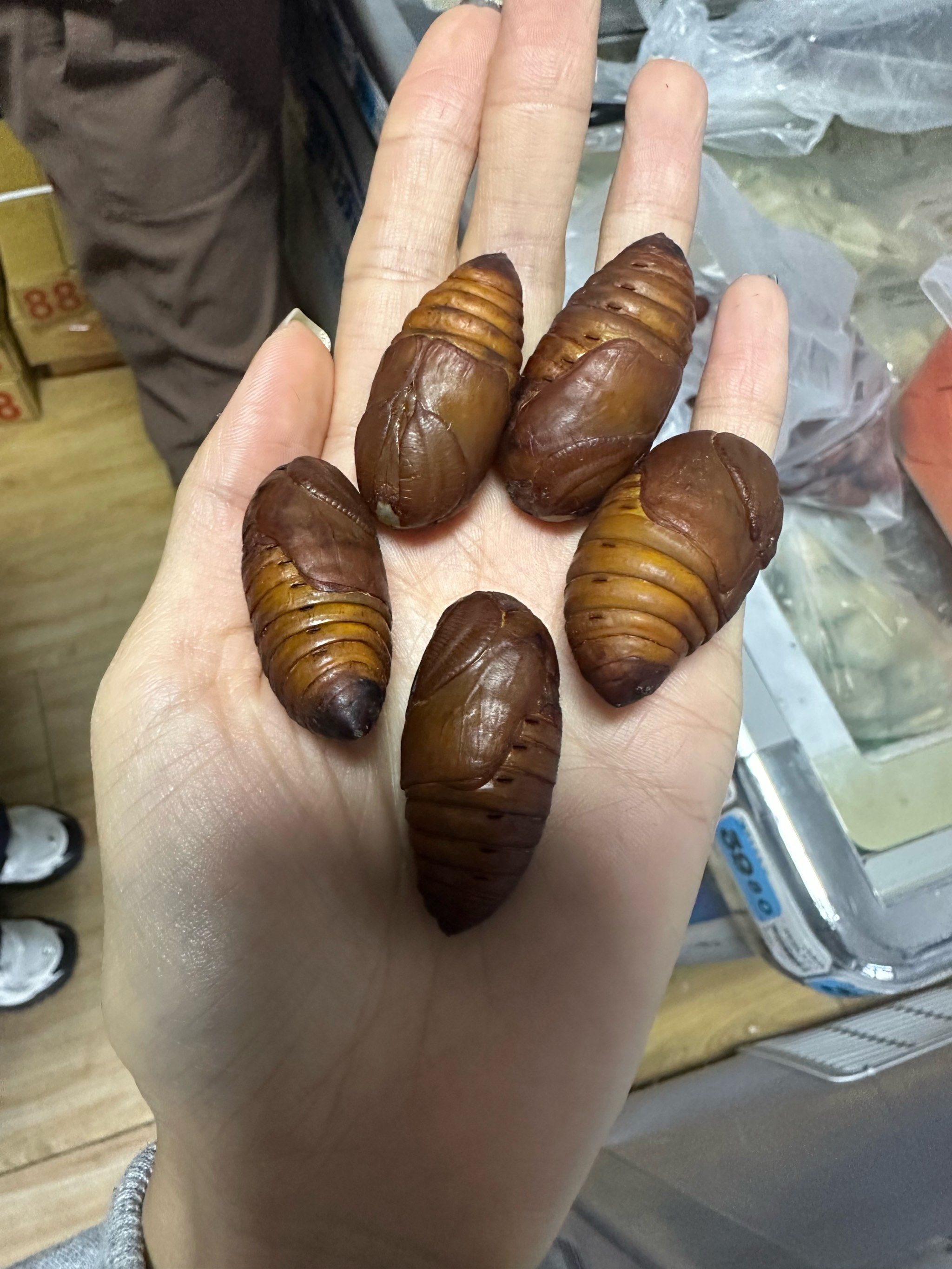 你能猜出这是什么吗?