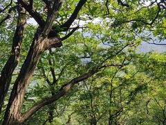 -杭州半山国家森林公园