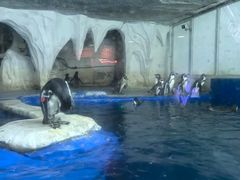 -太平洋海底世界