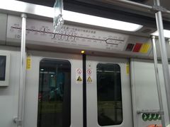 -桃浦新村(地铁站)