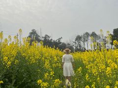 -蜀绣公园