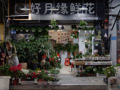 -溪岸路花鸟市场