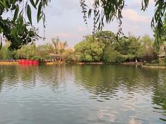 -翠湖公园