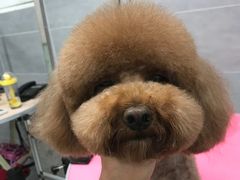 -宠福鑫康馨动物医院·骨科·眼科