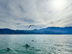-丽江泸沽湖景区