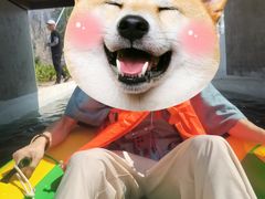 -十渡高山漂流