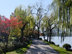 -浙江西子宾馆·瑶园咖啡厅