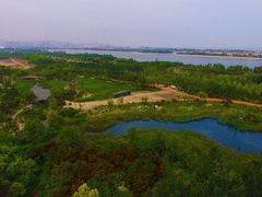 -渡海小渔村.老辈日照菜