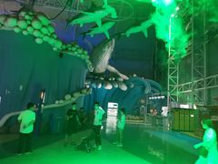 -烟台海昌鲸鲨海洋公园