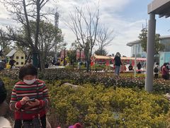 -季高兔窝窝亲子园(上海薰衣草公园店)