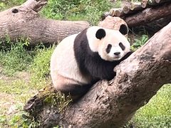-宁波野生动物园