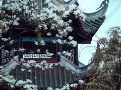-观山湖公园