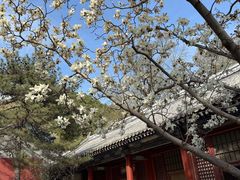 -潭柘寺景区