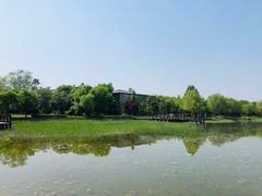 -望湖公园