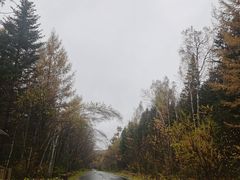 -汤旺河林海奇石景区