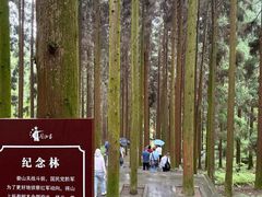 -娄山关景区