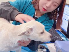 -美迦爱-牙专科·兔科·骨科诊疗中心(北苑店)